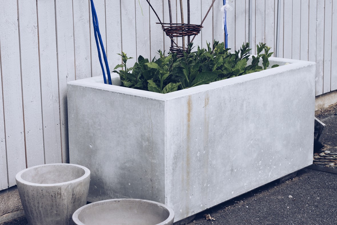 Tråg-VSCO