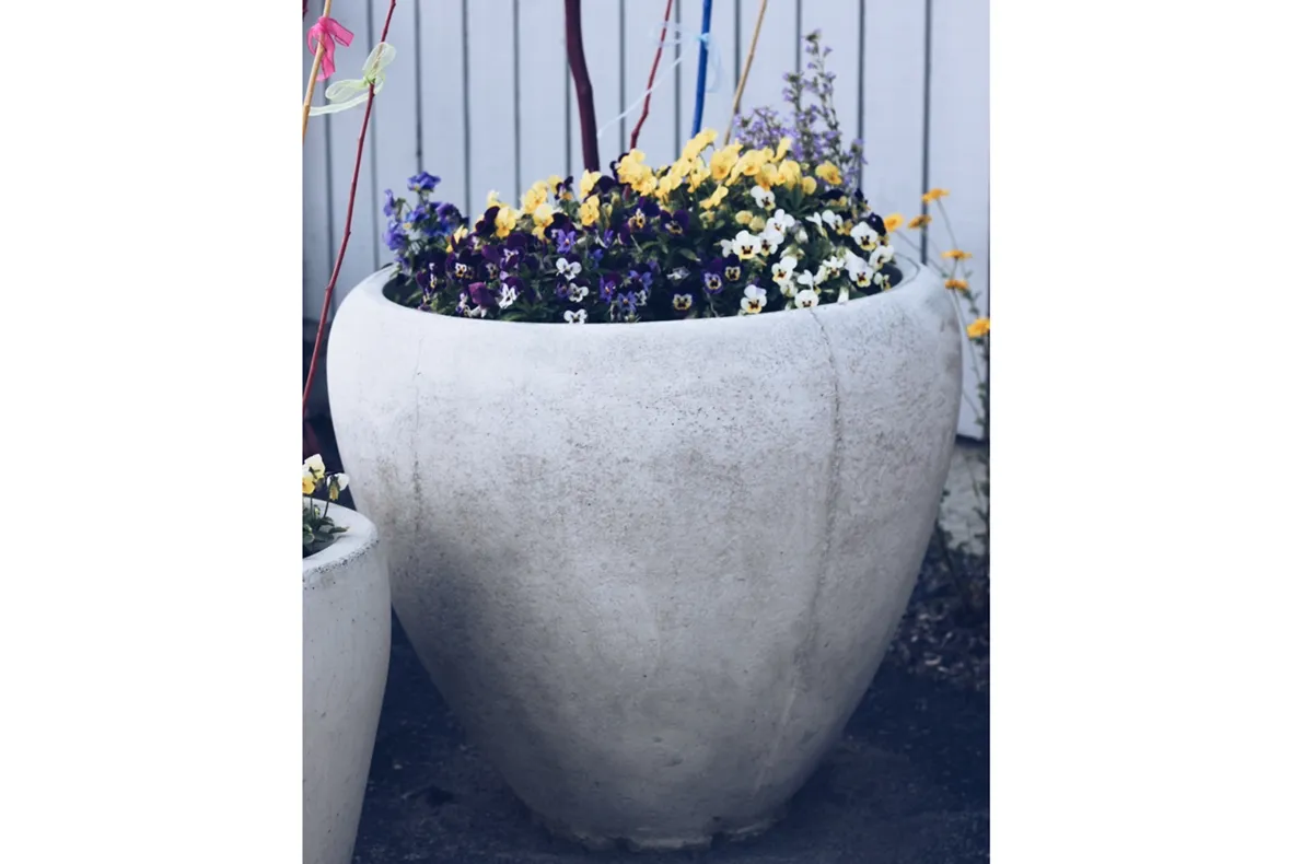 Image-1