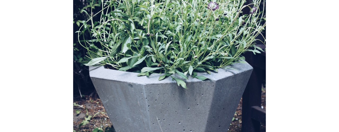 1D7D8C90-D75E-4489-AD13-D2FB1B2962EC